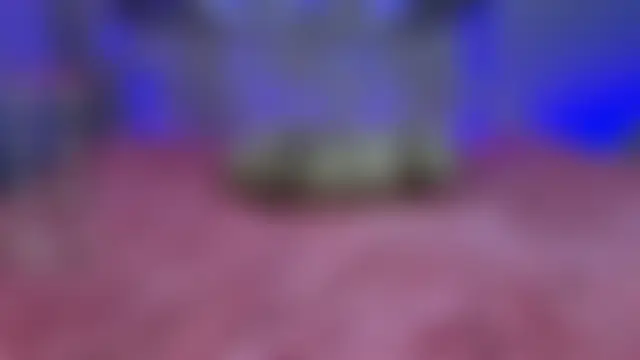 VETT_KITTY's Webcam Show