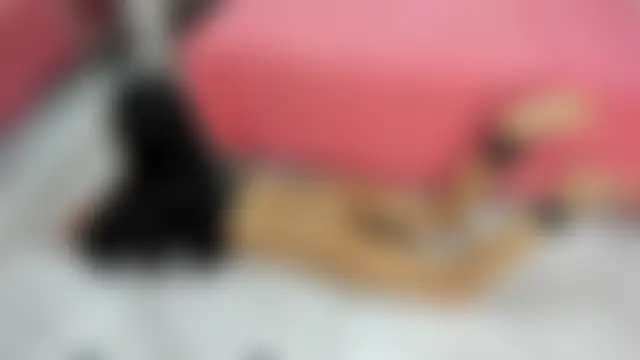 naia_cox 라이브 XXX 채팅