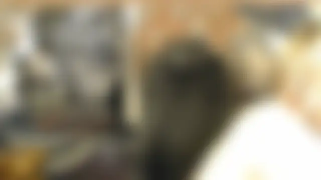 TittenMichelleのライブXXXチャット