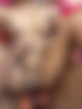 KAMUKH-NEHA-SEXY 라이브 XXX 채팅