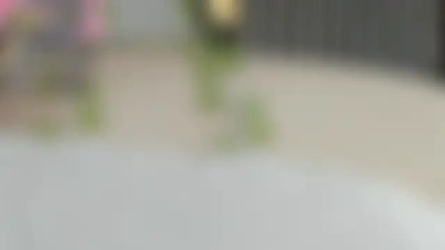 Agathaargent_ 라이브 XXX 채팅