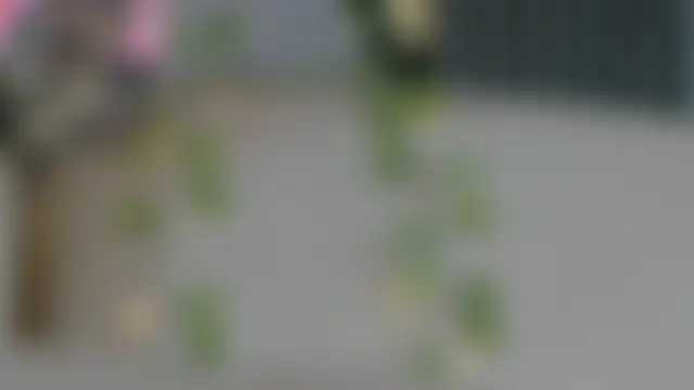 Agathaargent_ – Naživo XXX chat