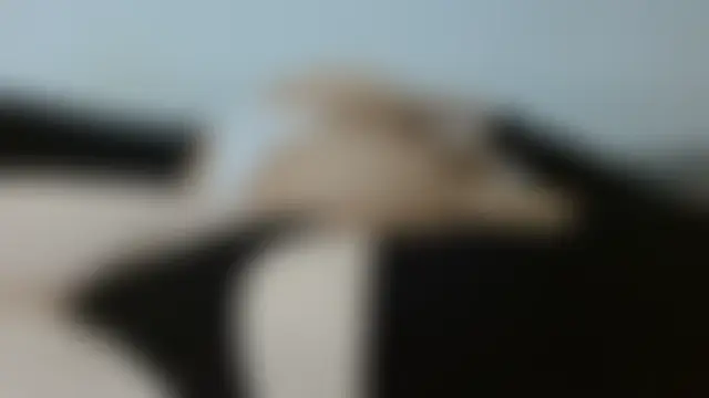 DivinePrincesses 라이브 XXX 채팅