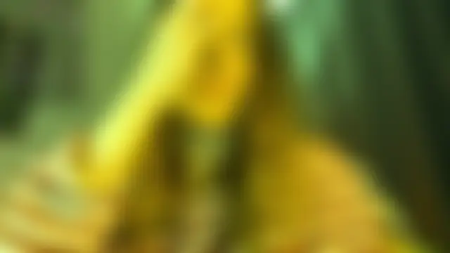 kleya_'s Live XXX Chat