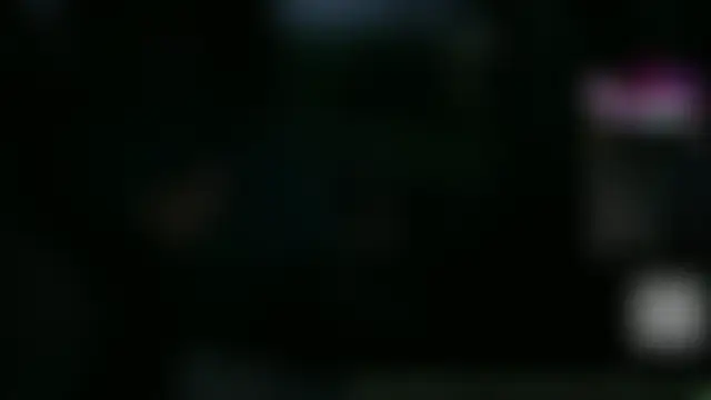 Cruising_Landのウェブカメラショー