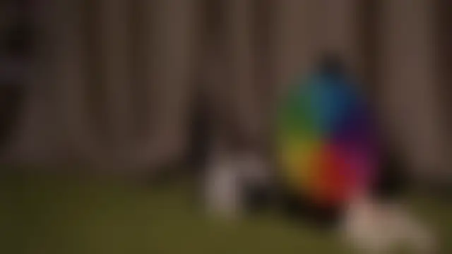 EdlinHargus 现场XXX聊天