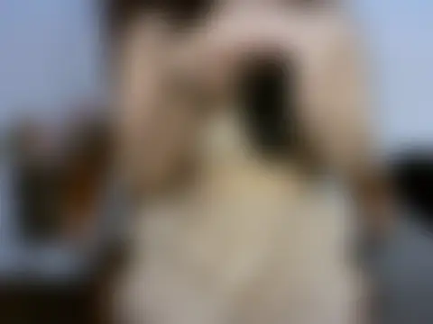 Beautiful_ladki's Webcam Show