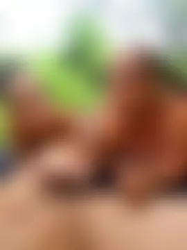 anita1976 webkamerás műsora