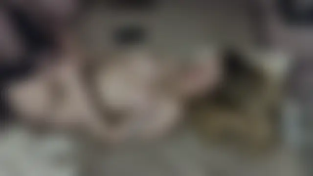 Vivian_Davis: απευθείας συνομιλία ΧΧΧ