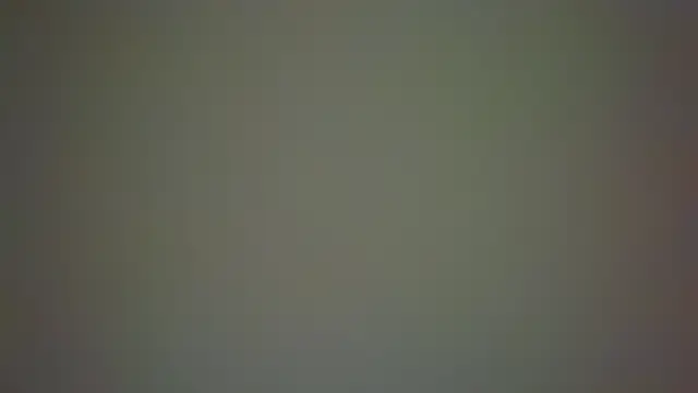 دردشة collage_hoty الجنسية المباشرة