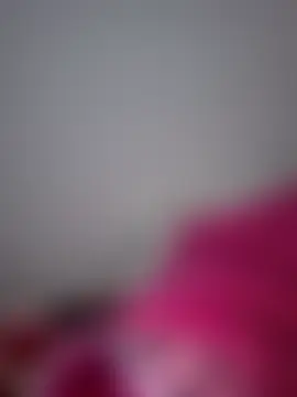 altinya webkamerás műsora