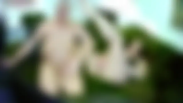 Show webcam de gillettegel