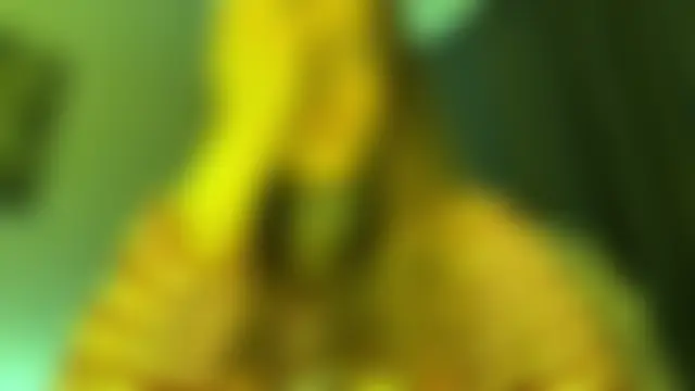 kleya_ – Naživo XXX chat