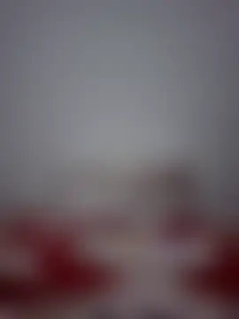 altinyaのウェブカメラショー