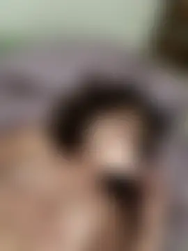 Webkamerová show noa_chi