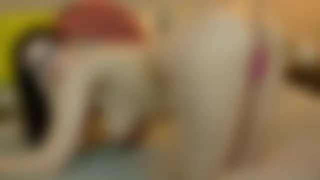 عرض كام EllieWest