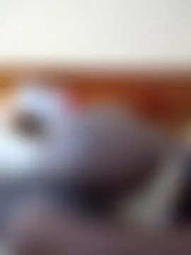 cutepussy356 ওয়েবক্যাম শো