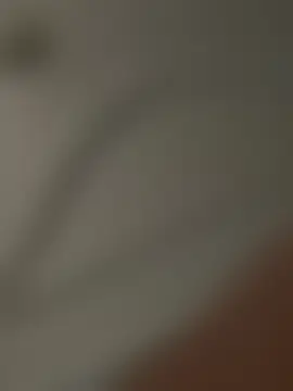 bunnythetailor Chat XXX live