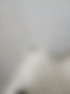 Stallionbull37's Webcam Show