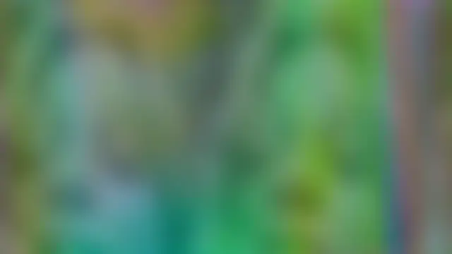 AuraNevera webkamerás műsora