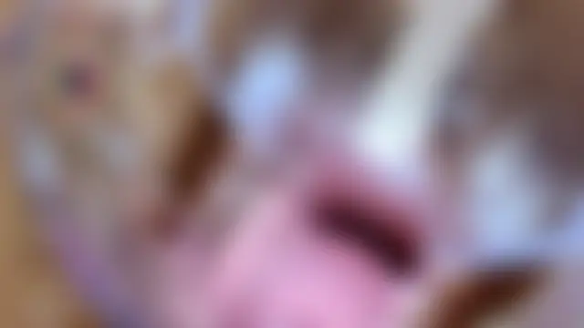 yueyue2003 Webcam show