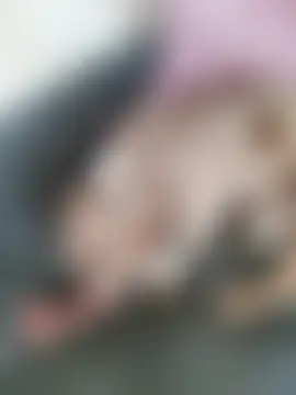 Pokój czatu na żywo – Lovers__Annn