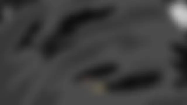 graylovescookies live sex-cam show