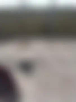 Show de webcam de linda_bae00