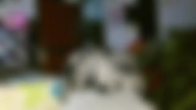 SarithaBunny's Live Webcam Show