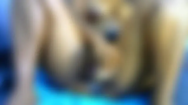 WildnWetMilfX36 在線直播表演