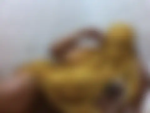 Chat soba uživo modela annal_gal