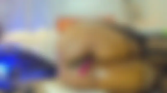 Webkamerová show Belle_Brunette