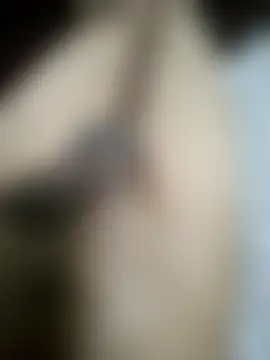 Romantic_nights Obrolan Langsung XXX