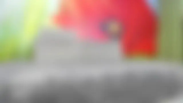 BlowMyXXL's Webcam Show