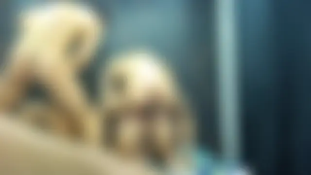 4SexFantastic webkamerás műsora