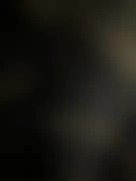 pp-small webcam show