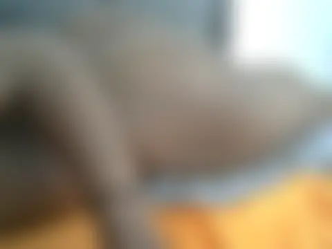 Pearlod2's Webcam Show