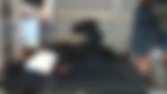 Lovyourpuss' Webcam Show