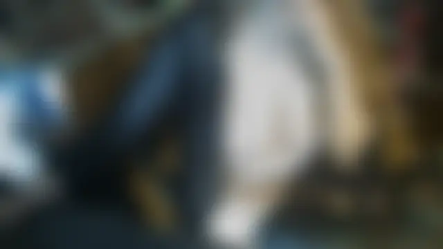 cinquantaxxx webkamerás műsora