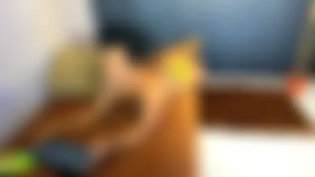 papipills Webcam-Show