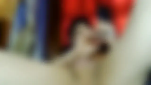 Show Webcam de RIVALSKITCHEN