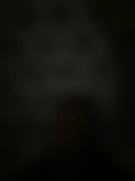 ZF-Athlete Webcam show