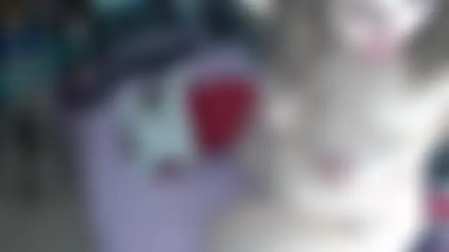 BigBootyAlice's Webcam Show