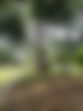 ray_long222 Adlı Modelin Canlı Seks Kamerası Şovu