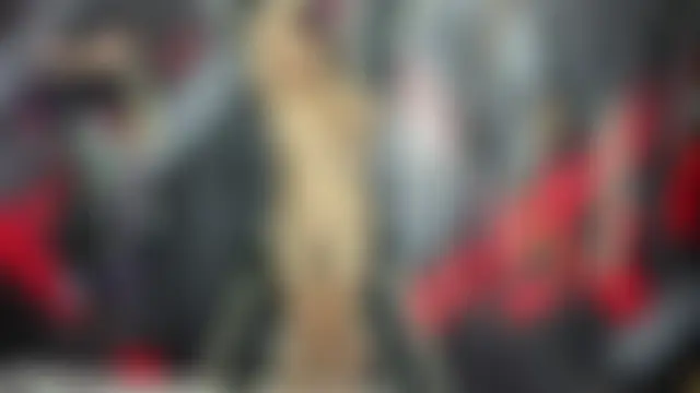 SUBMISSION_BDSMのウェブカメラショー