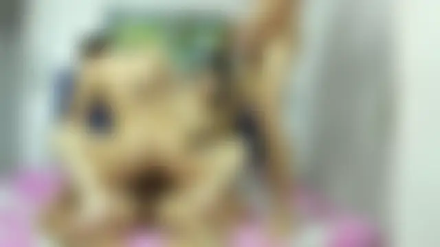 CamilaGirlAndTwoBoyn Webbikameraesitys