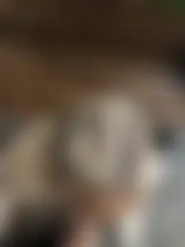 AlyssaFoxx_ élő szexkamerás műsora