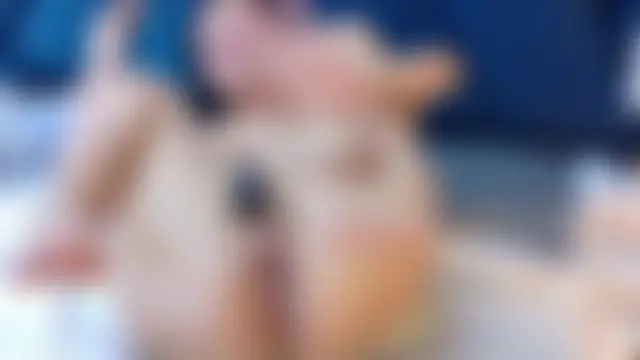 samantha_and_williams Show Webcam