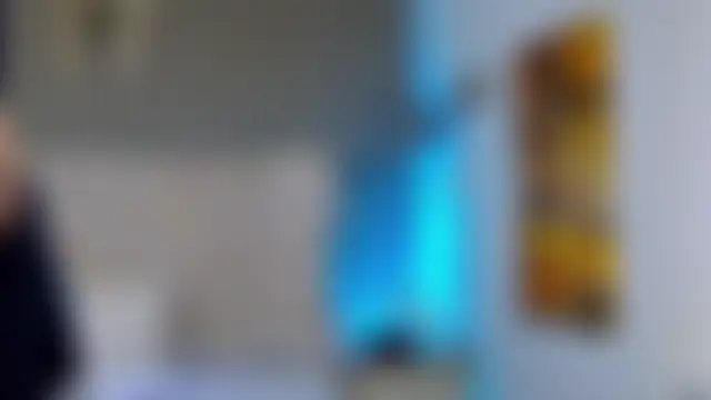 PlayfulShow 웹캠 쇼