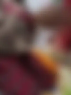 Play_Softly Show Webcam